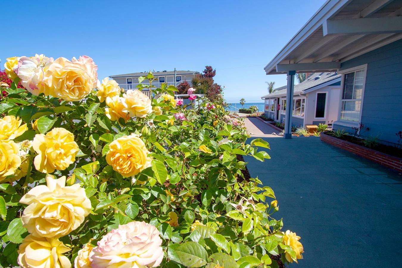 Edgewater Beach Inn Santa Cruz Ngoại thất bức ảnh